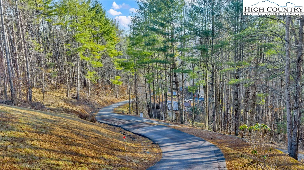 Image number 2 for the current listing
