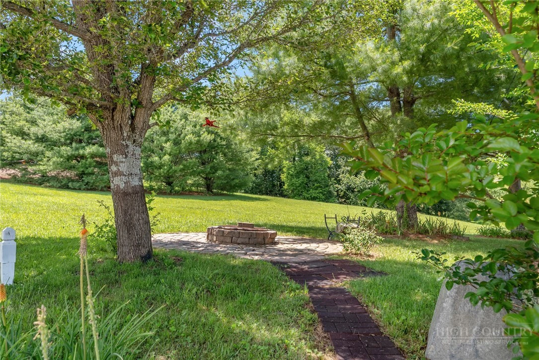 Image number 14 for the current listing