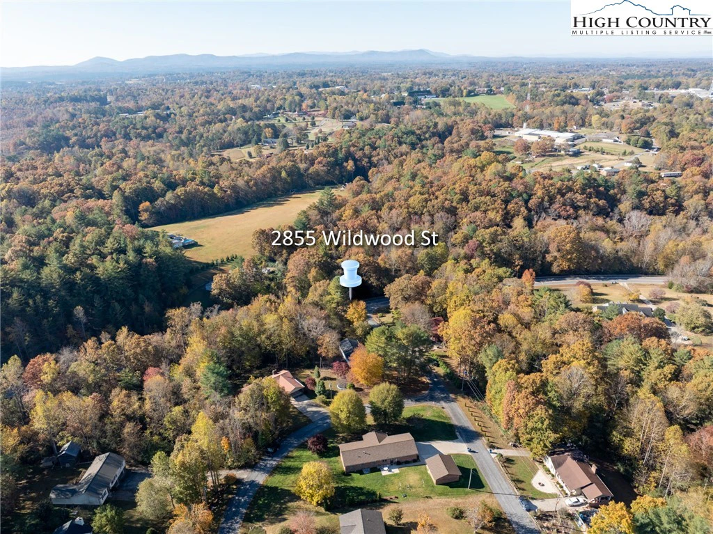 Image number 2 for the current listing