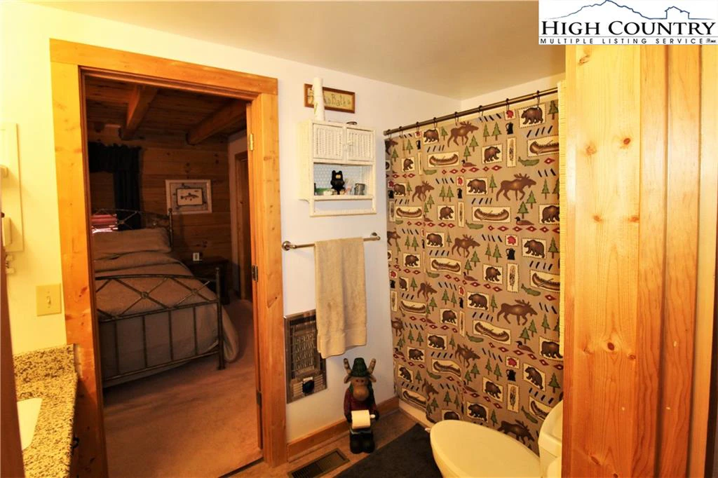 Image number 13 for the current listing
