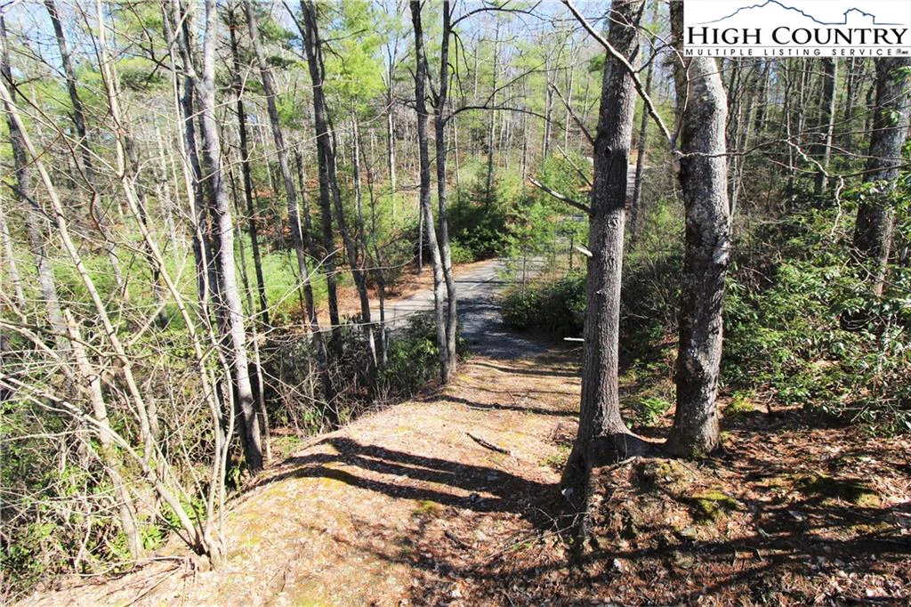 Image number 3 for the current listing