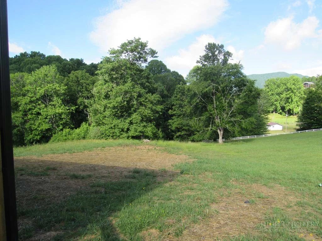 Image number 12 for the current listing