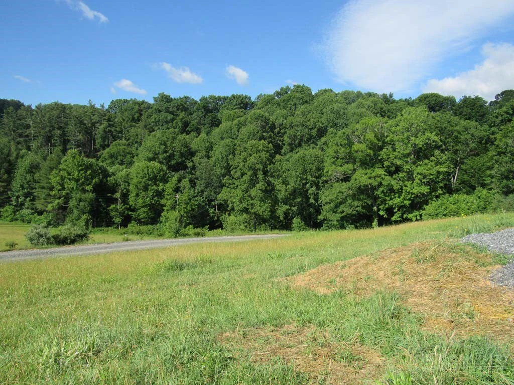 Image number 13 for the current listing