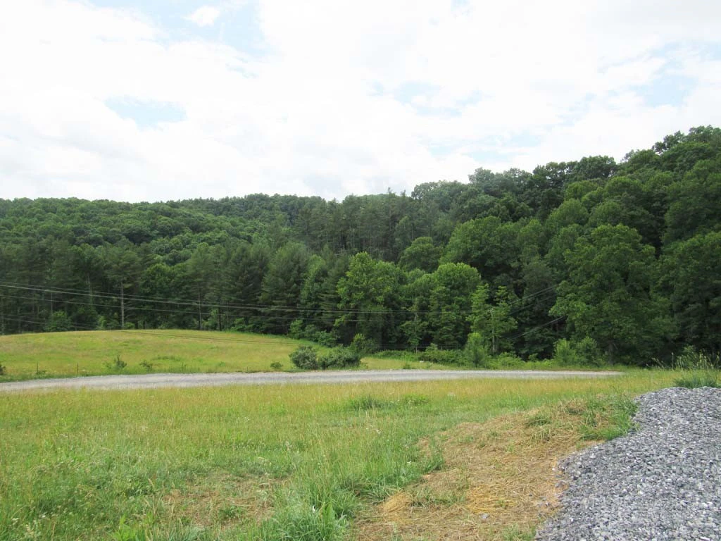 Image number 15 for the current listing