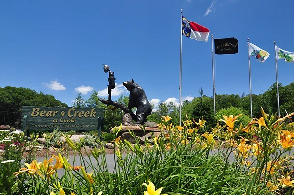 Image number 1 for the current listing