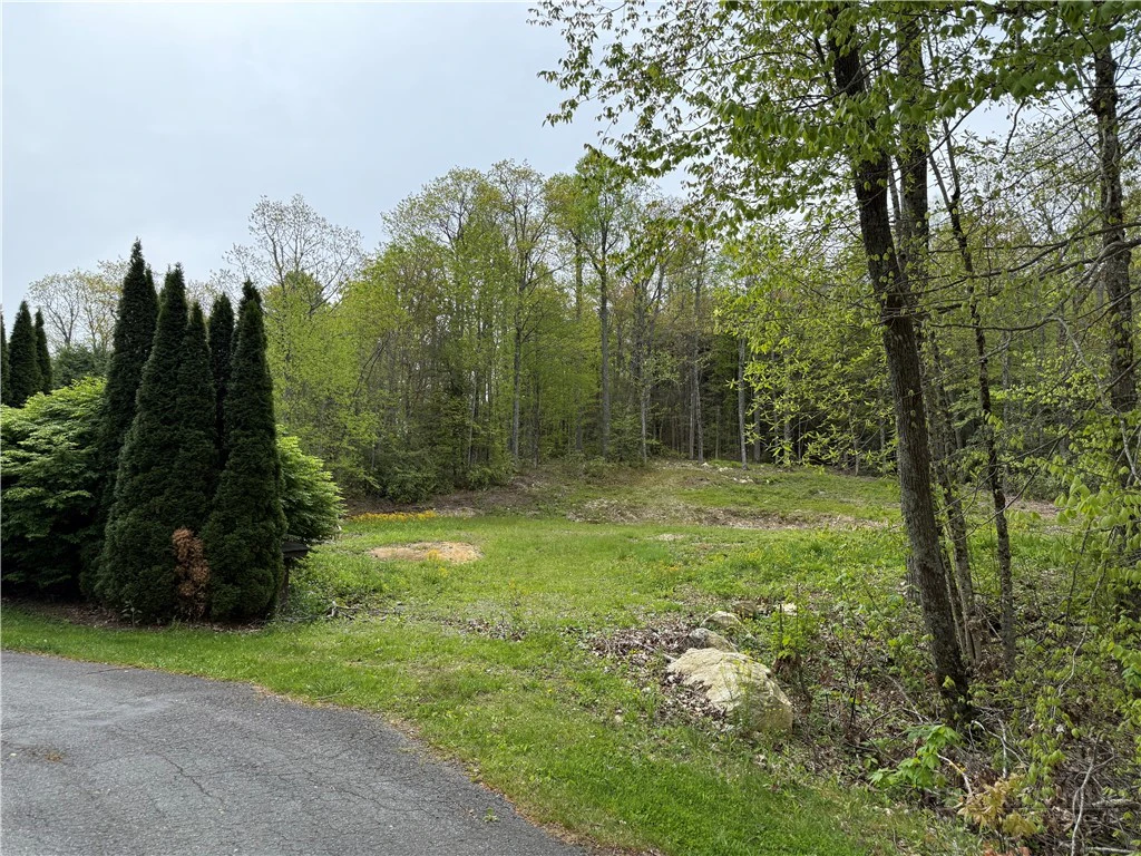 Image number 3 for the current listing
