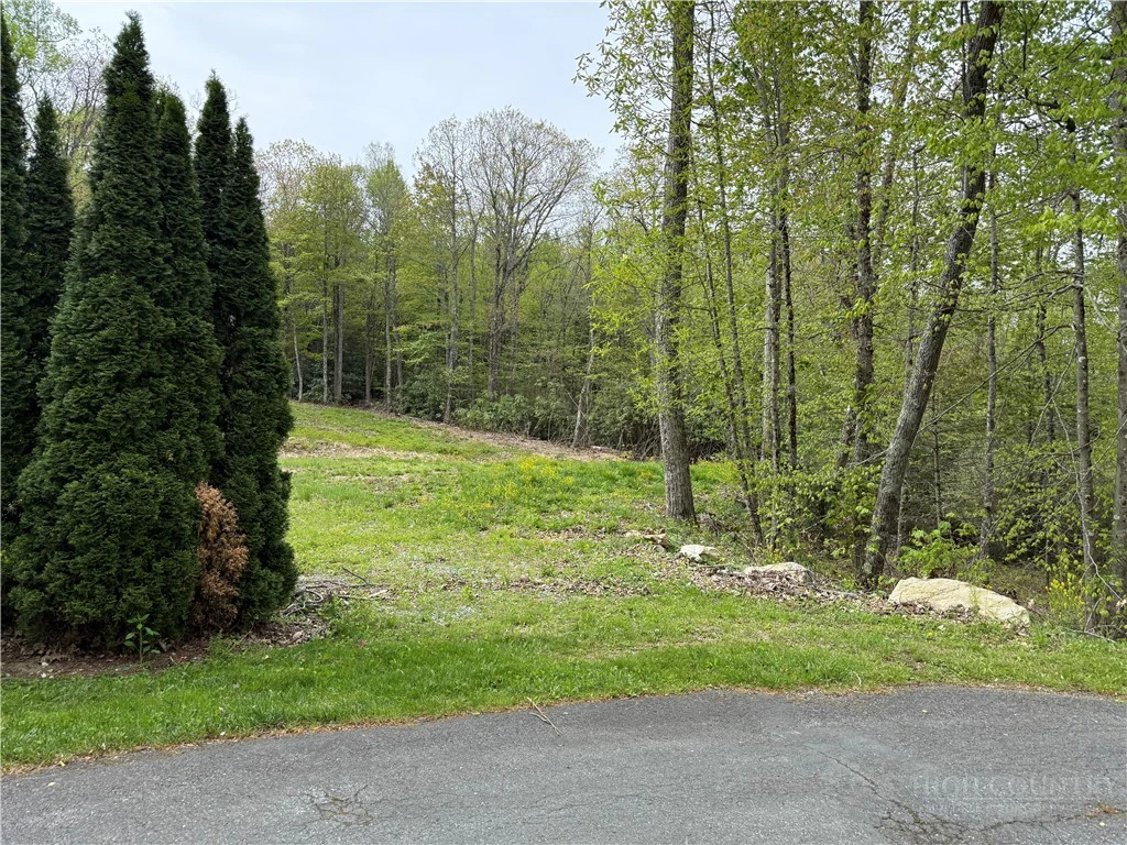 Image number 4 for the current listing