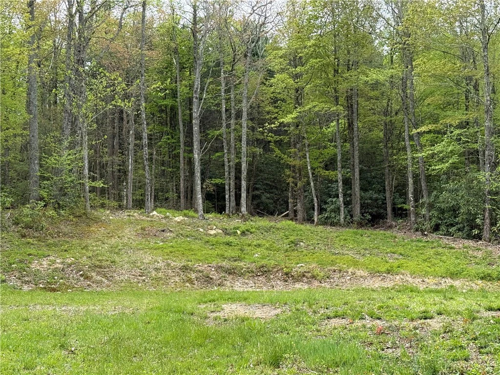 Image number 5 for the current listing