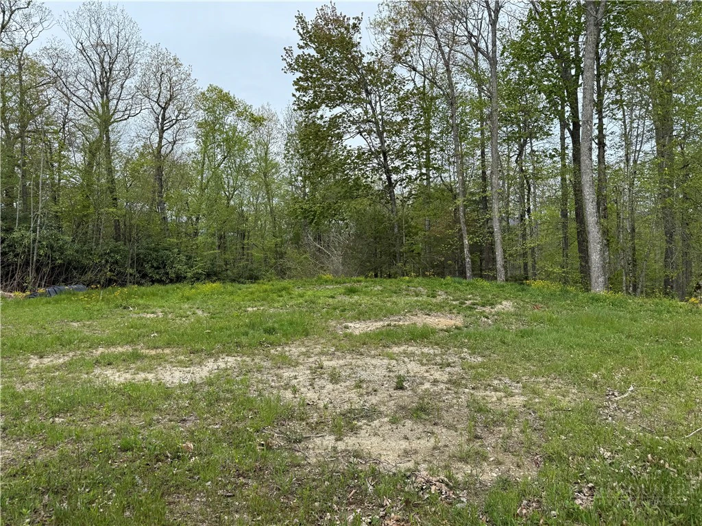 Image number 6 for the current listing