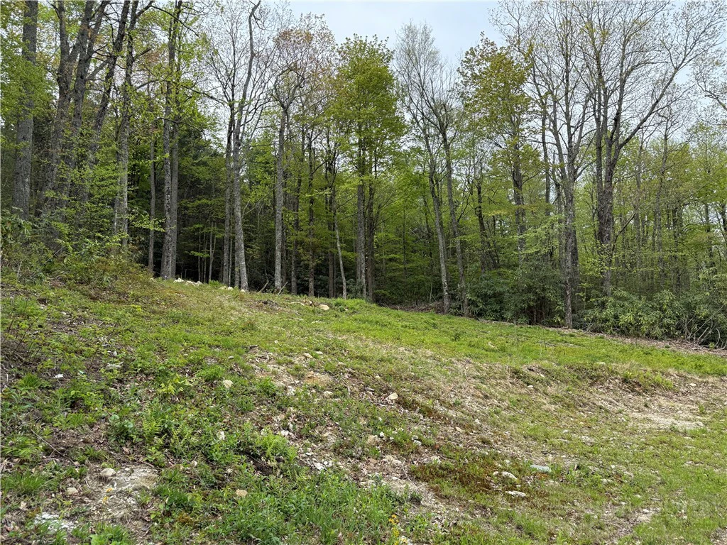 Image number 7 for the current listing