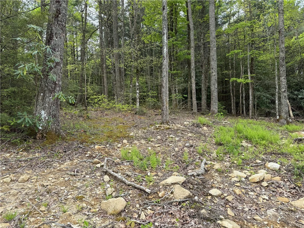 Image number 8 for the current listing