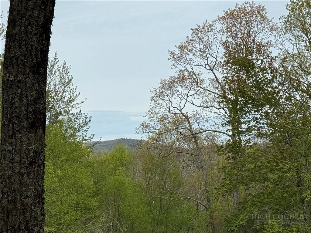 Image number 9 for the current listing