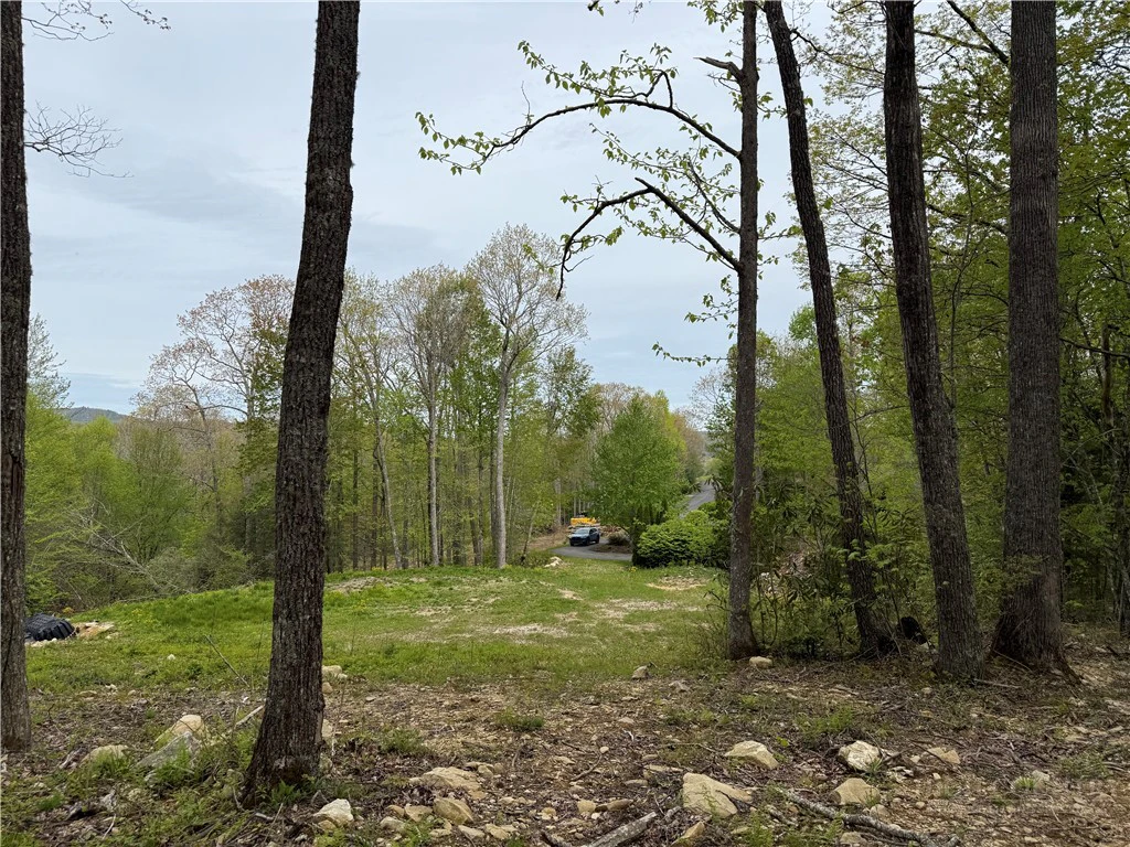 Image number 10 for the current listing