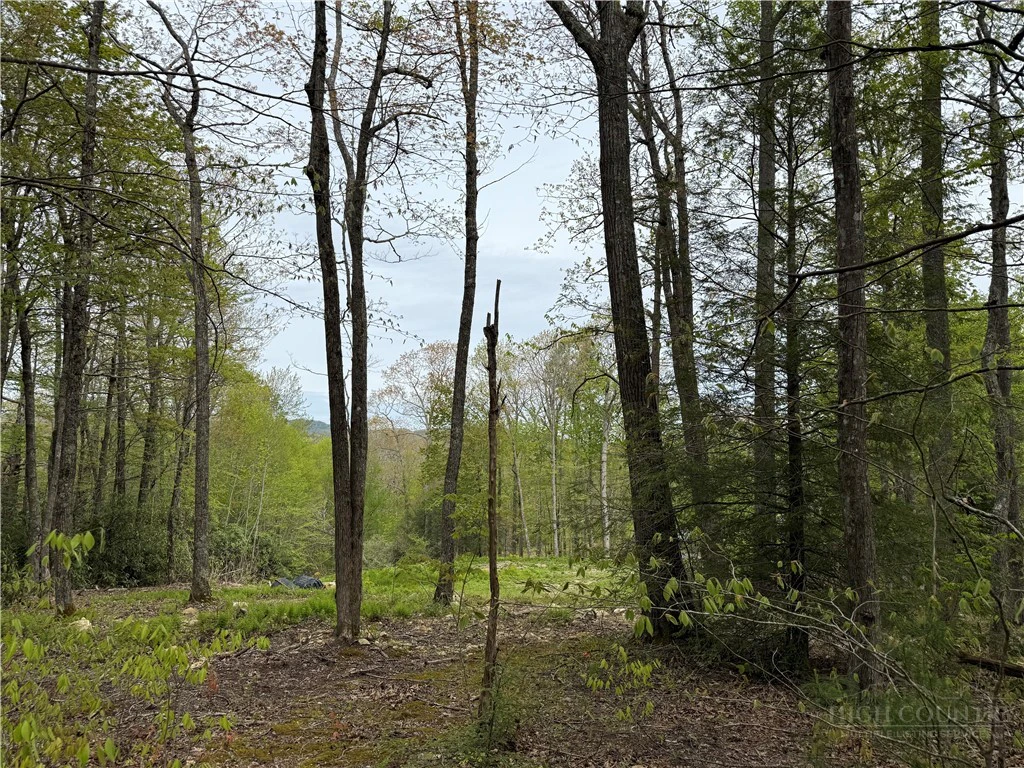 Image number 11 for the current listing