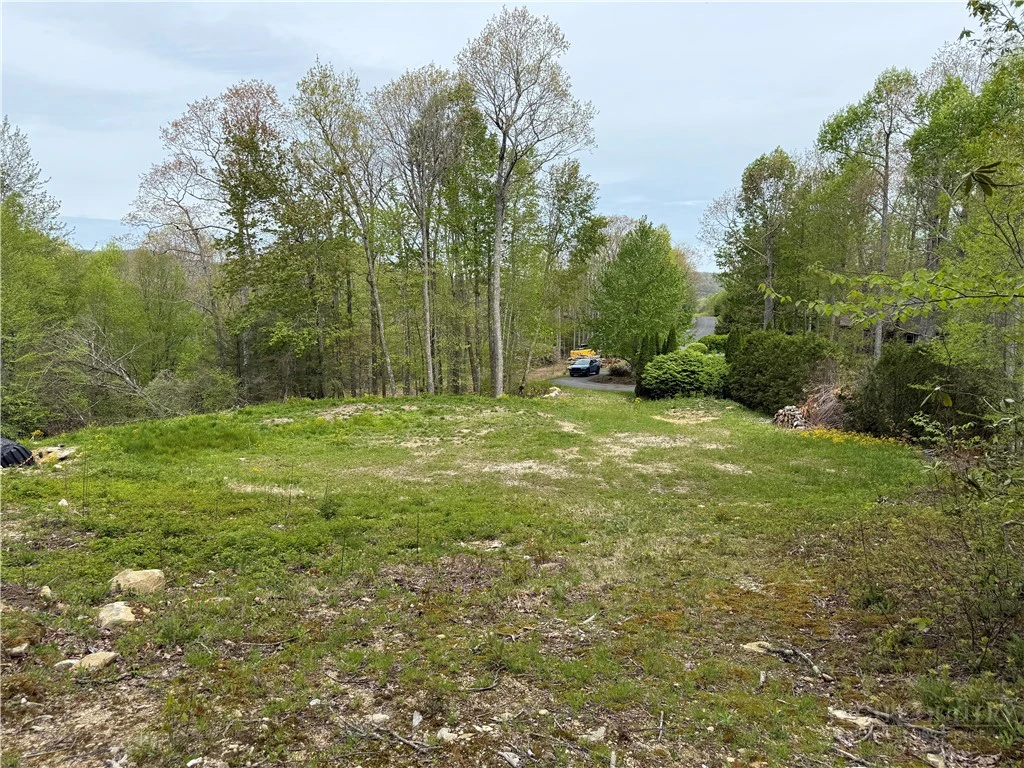Image number 12 for the current listing