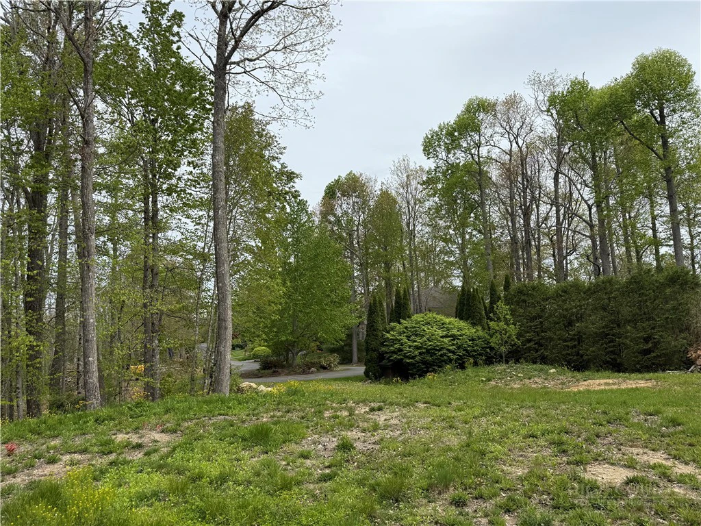 Image number 13 for the current listing