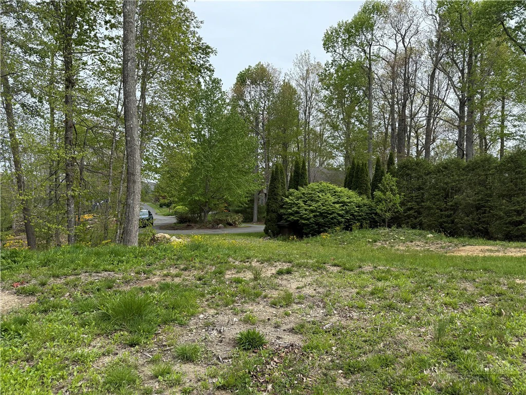 Image number 14 for the current listing