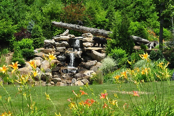 Image number 15 for the current listing