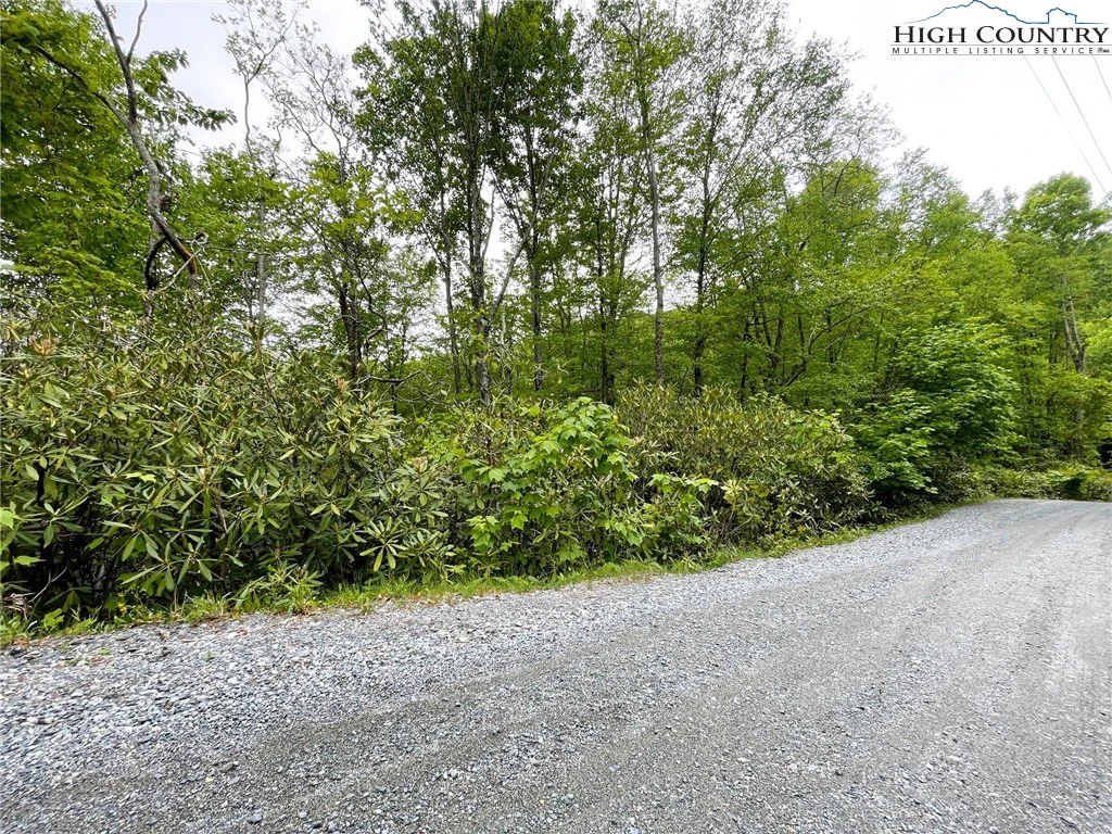 Image number 1 for the current listing