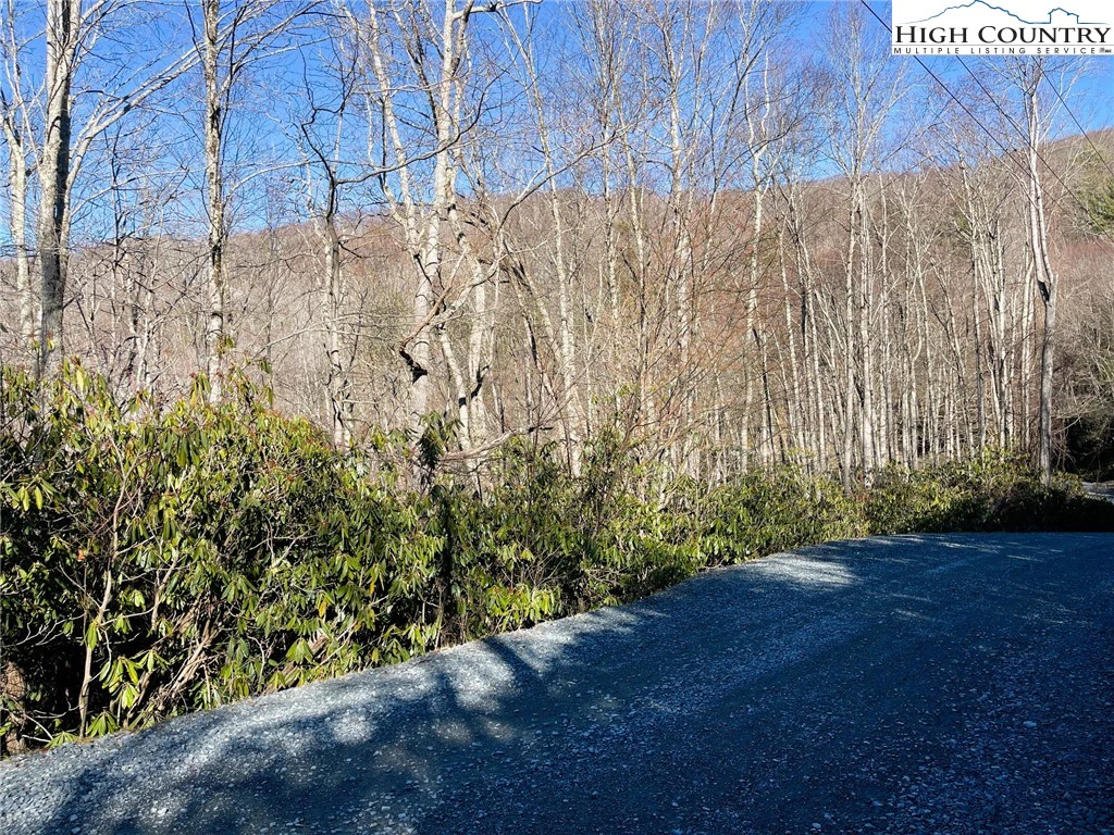Image number 4 for the current listing