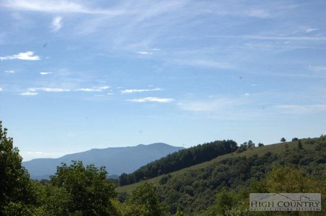 Image number 9 for the current listing