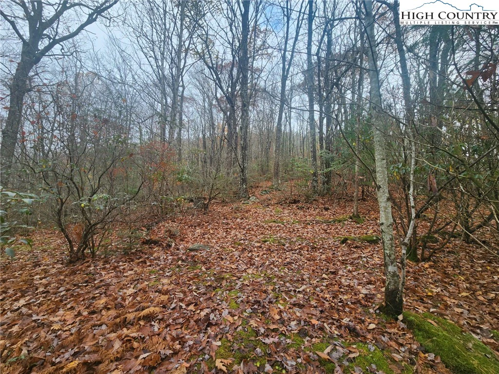 Image number 4 for the current listing