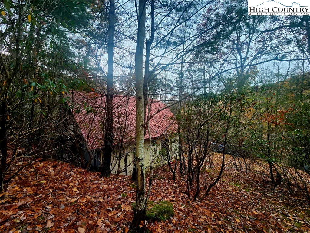 Image number 5 for the current listing
