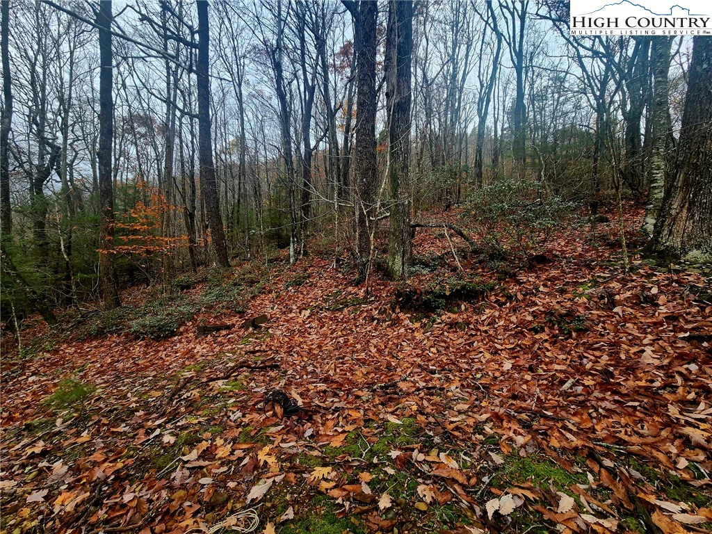Image number 7 for the current listing