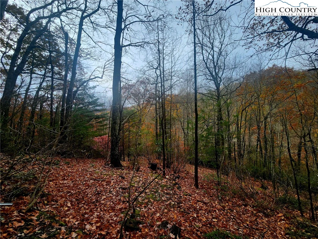Image number 2 for the current listing