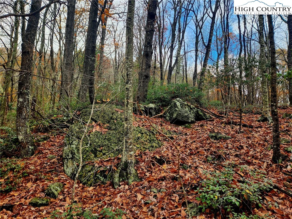 Image number 11 for the current listing