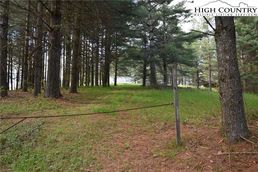 Image number 13 for the current listing