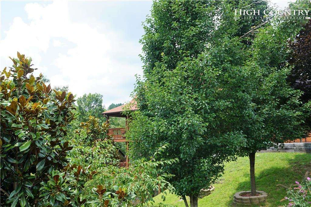 Image number 10 for the current listing