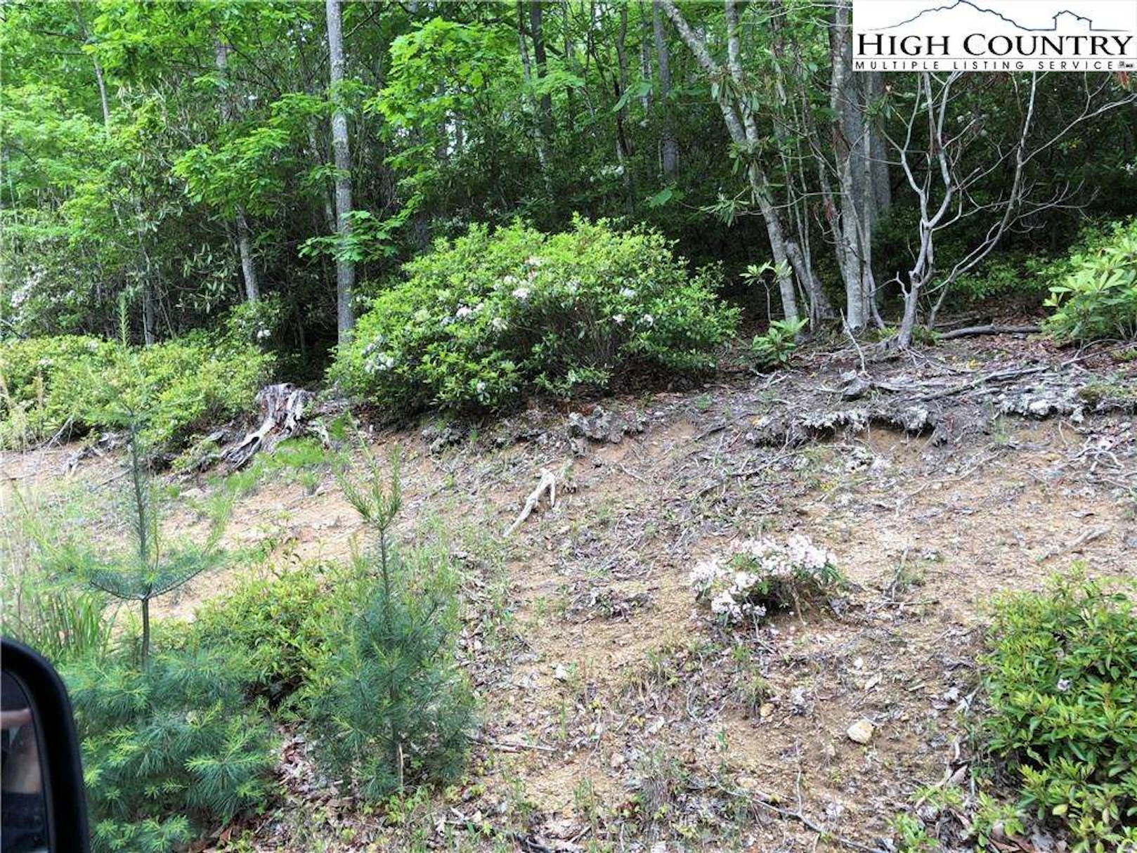Image number 1 for the current listing