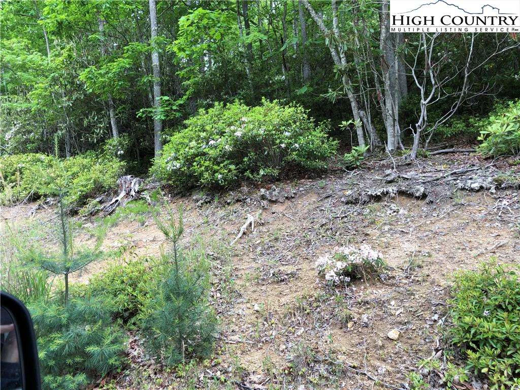 Image number 1 for the current listing