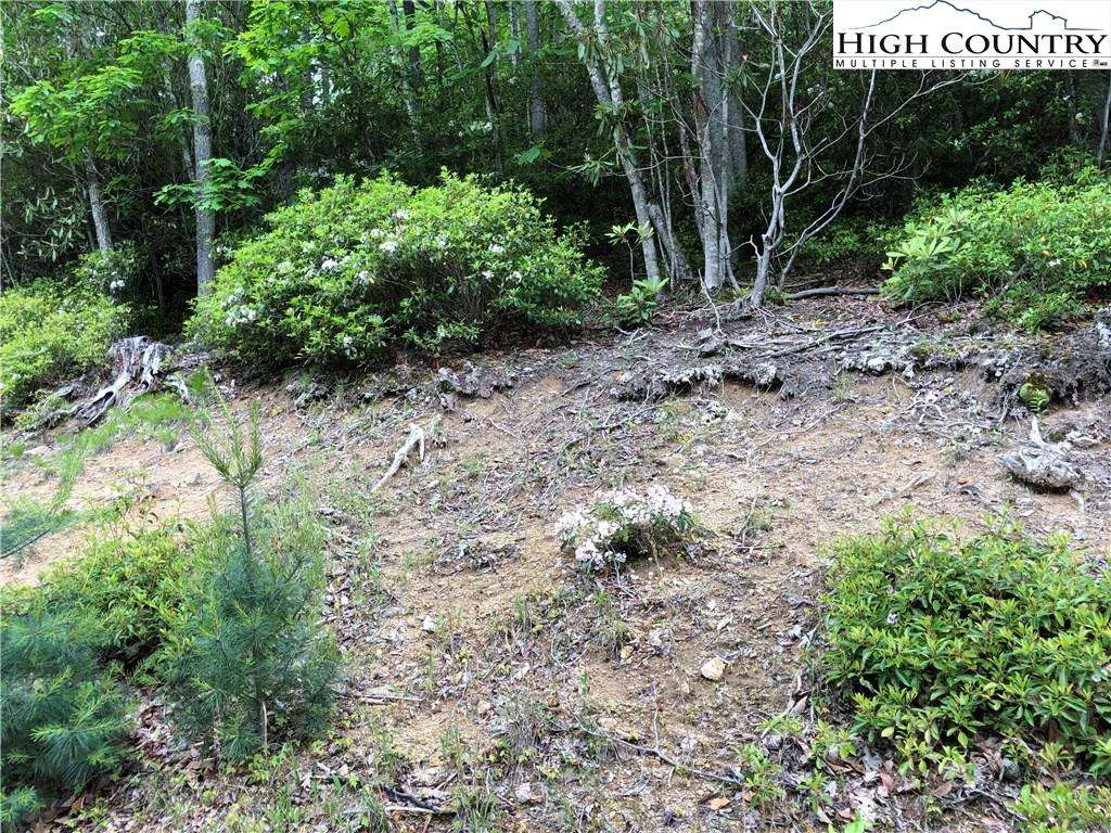 Image number 3 for the current listing