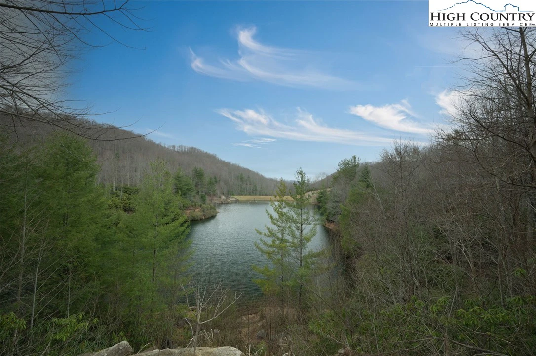 Image number 5 for the current listing