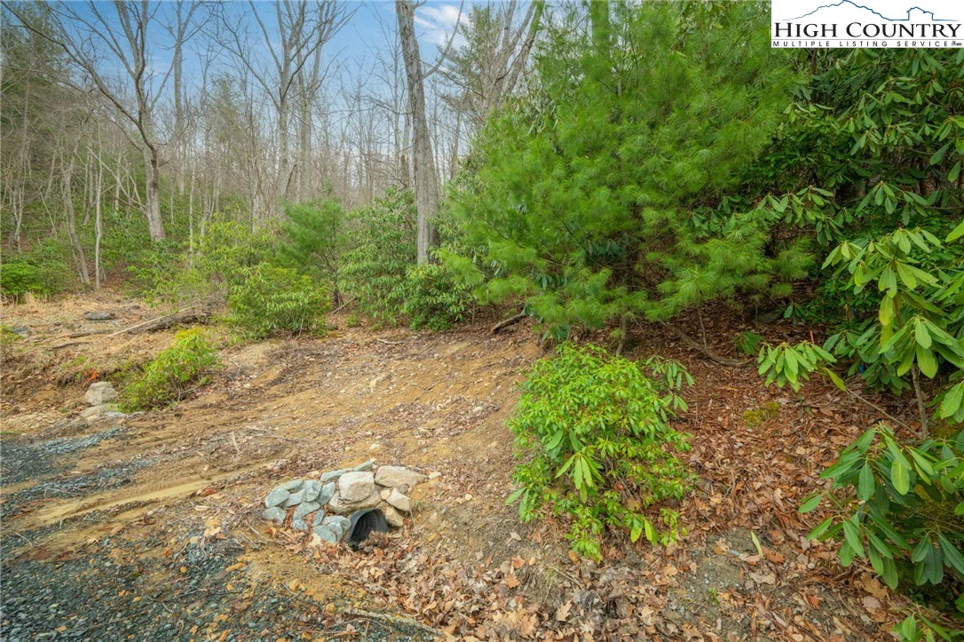 Image number 1 for the current listing
