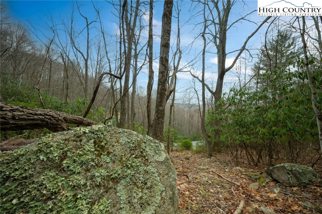 Image number 23 for the current listing