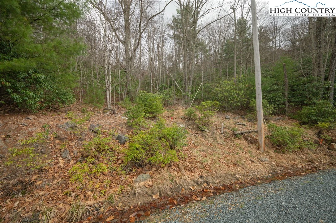 Image number 2 for the current listing