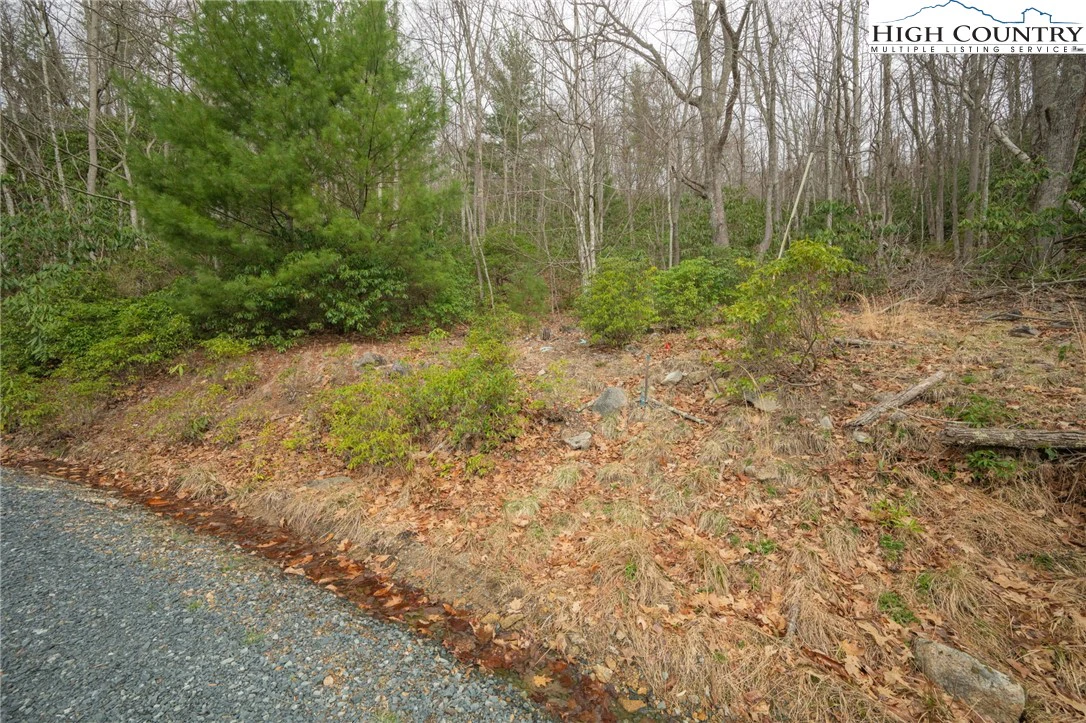 Image number 14 for the current listing