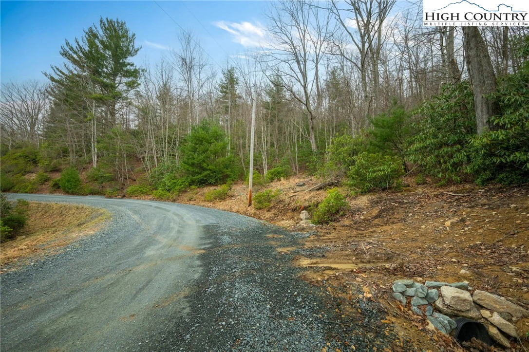 Image number 13 for the current listing