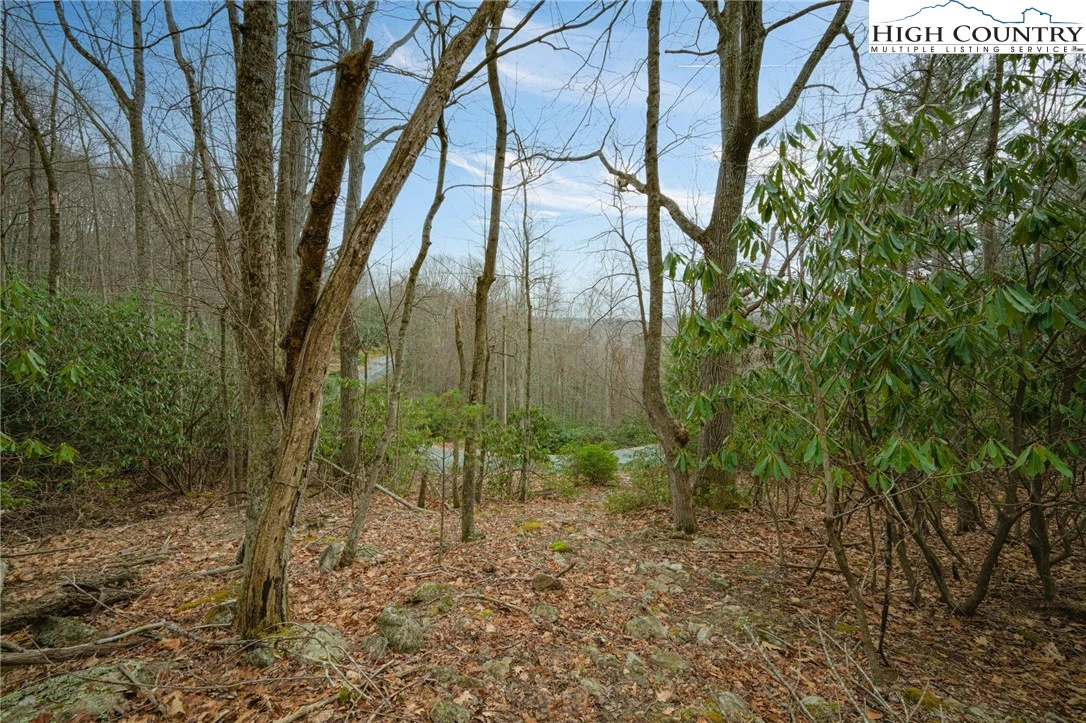 Image number 12 for the current listing