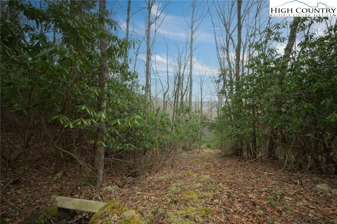 Image number 11 for the current listing