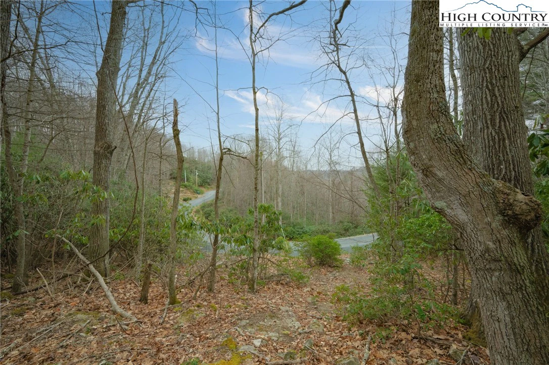 Image number 10 for the current listing