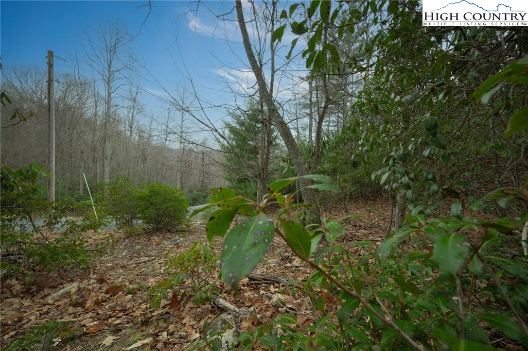 Image number 9 for the current listing