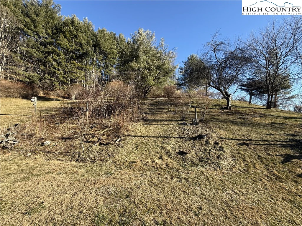 Image number 3 for the current listing