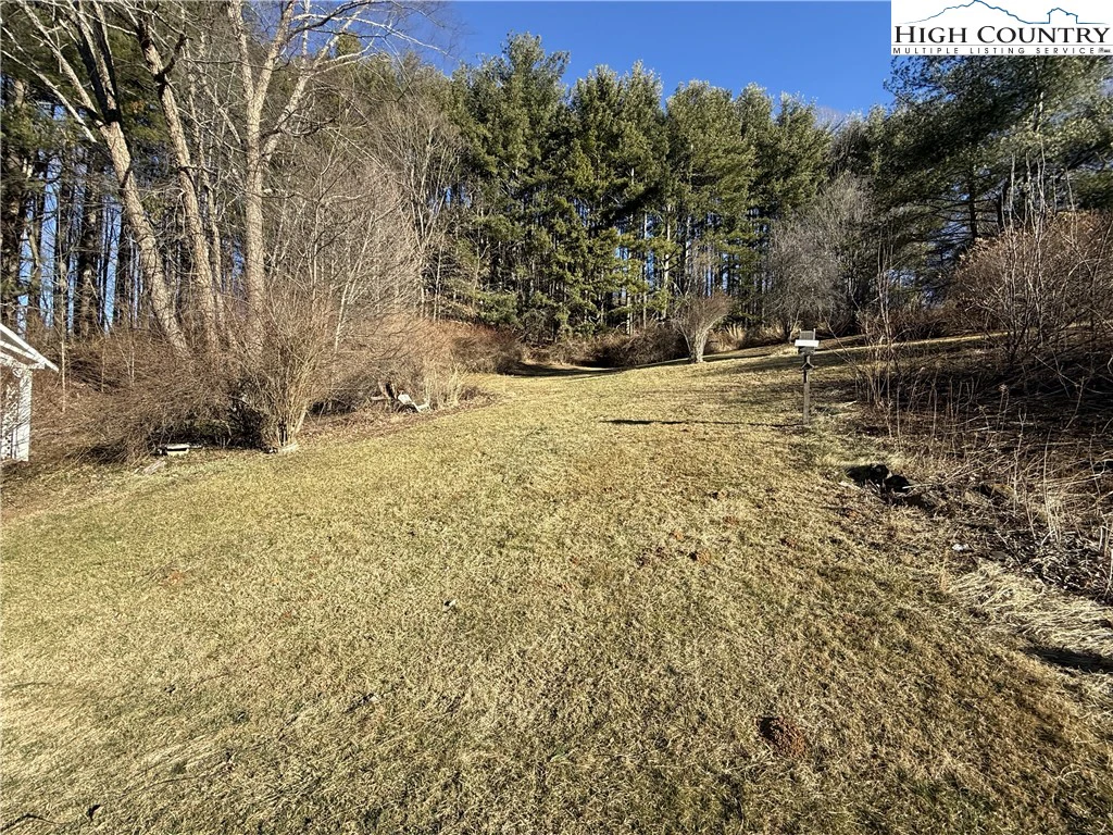 Image number 4 for the current listing
