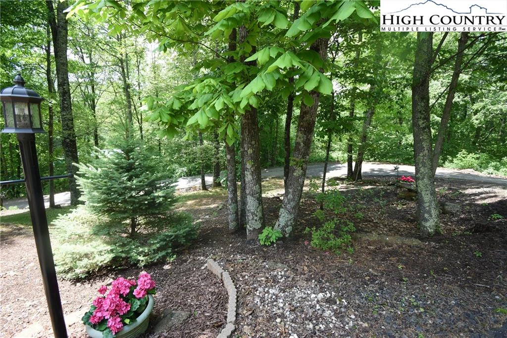 Image number 6 for the current listing