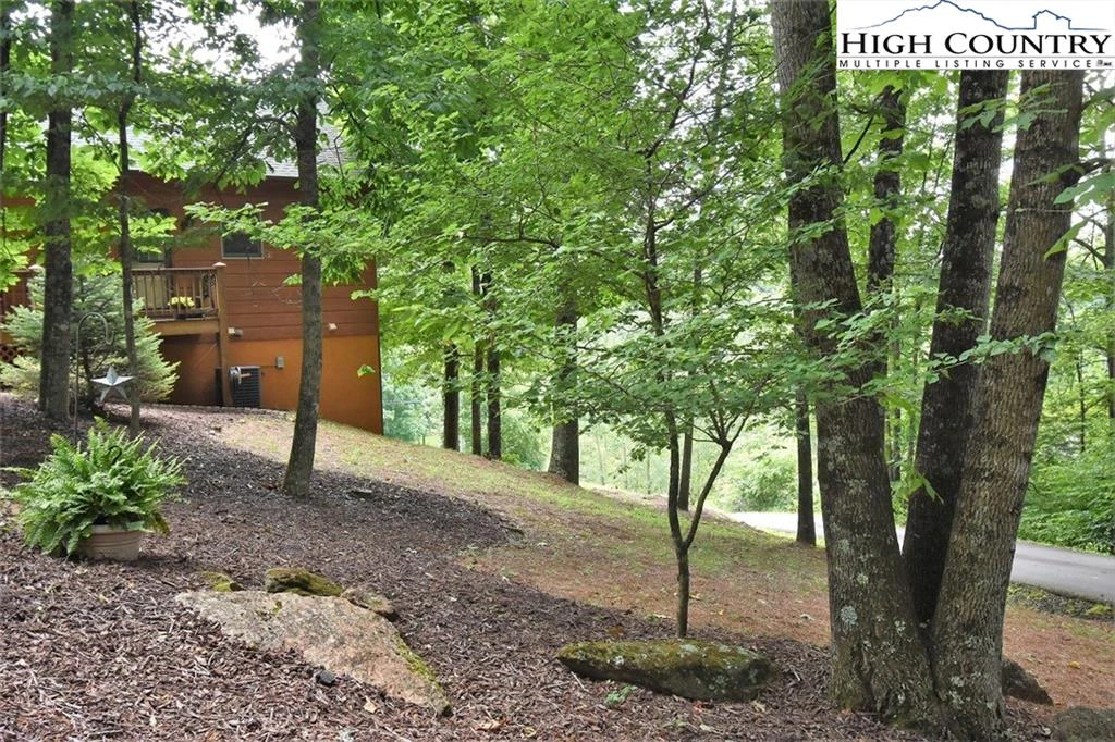 Image number 14 for the current listing