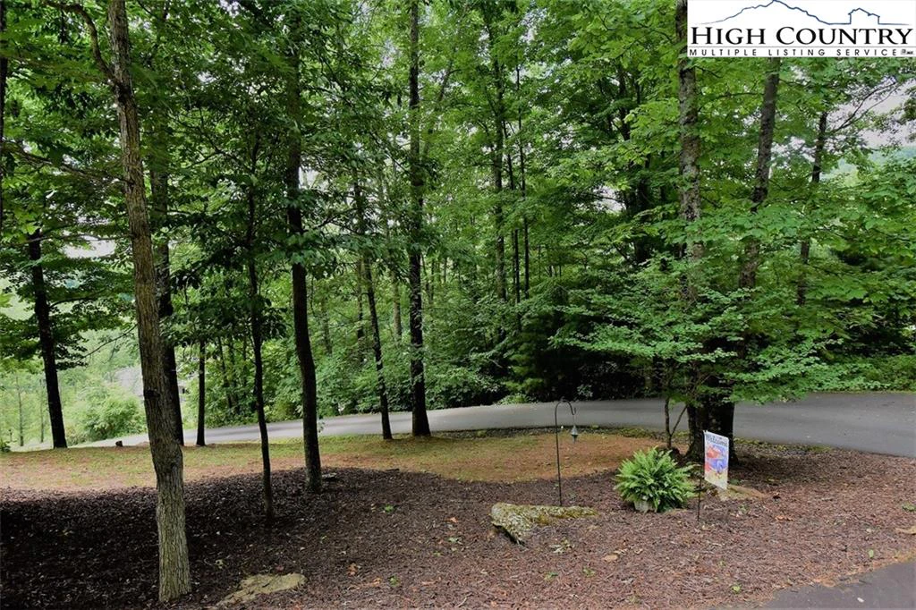 Image number 7 for the current listing